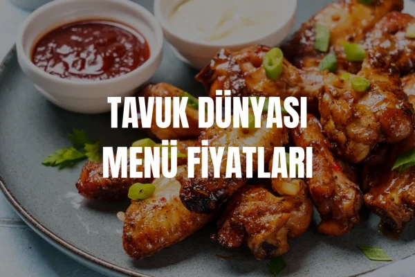 Tavuk Dünyası Menü Fiyatları