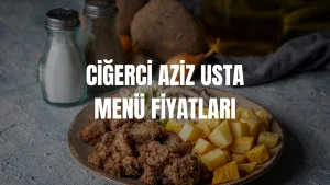 Ciğerci Aziz Usta Menü Fiyatları